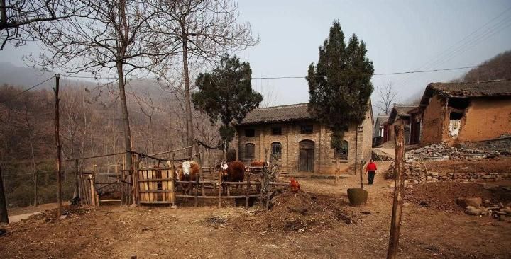  「户口」2019年起, 农村这4种房屋“保不住了”, 镇里有人也不行