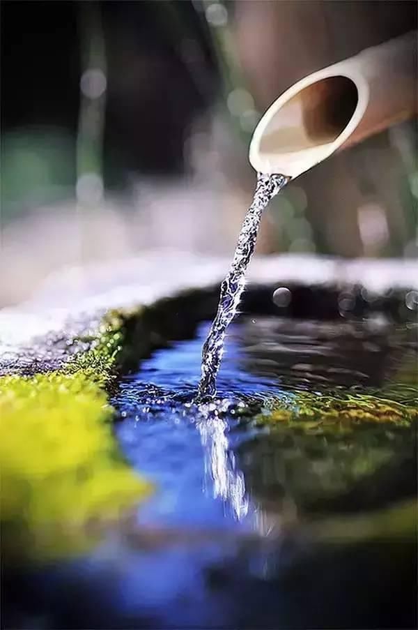 私家庭院设计，让您的小院禅意满满