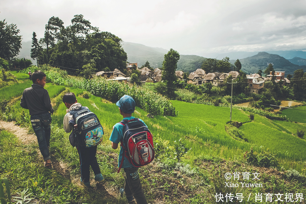 元阳梯田，有17多万亩，被命名为绿水青山就是金山银山实践基地