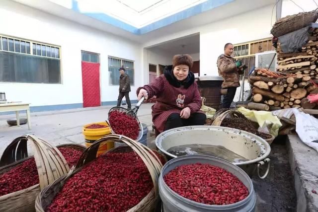 中原铁路：村民头回坐高铁