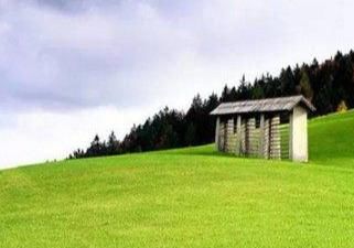 适合农村的创业点子，就看你敢不敢做