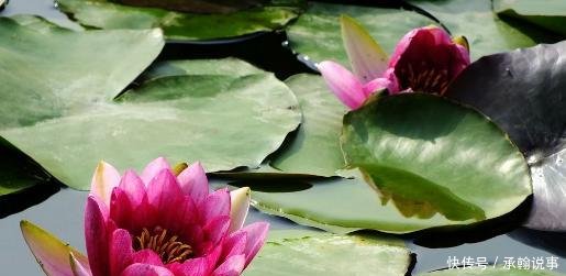 中国“较美”自驾公路---陕西“一号公路”