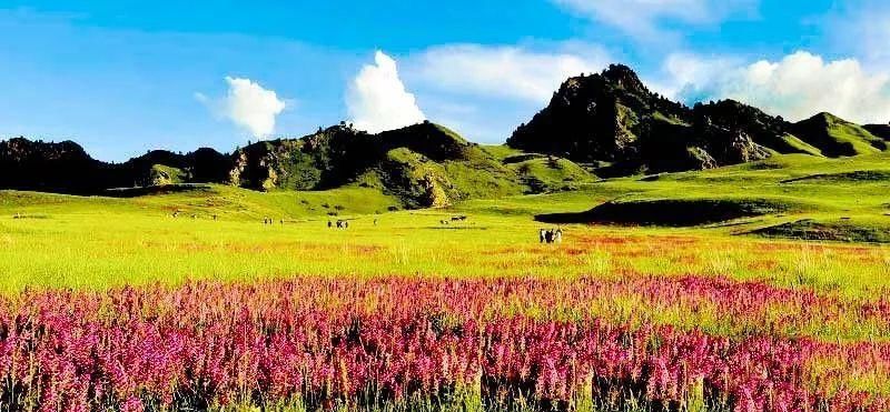 青海又一小众旅行地被发现，距茶卡盐湖仅1小时，低调得让人心疼