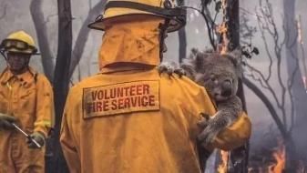 澳大利亚大火哪些国家消防