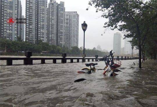 辟谣!鳄鱼逃跑、大桥被淹、美女被救…都是假的!这些信息才是真的