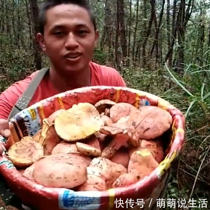 农村野生的“它”，是大自然馈赠给农民的福利，一斤价值50元！