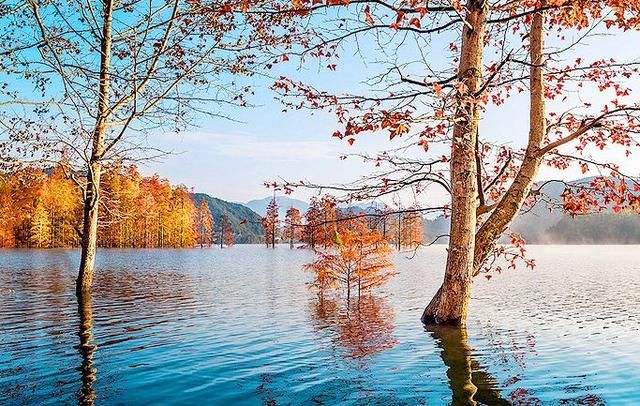 不必去九寨沟，你能想到的最美深秋全在小城仙居！