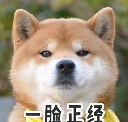 『小可爱』方领衬衫+A字裙=显瘦10斤,美炸了!