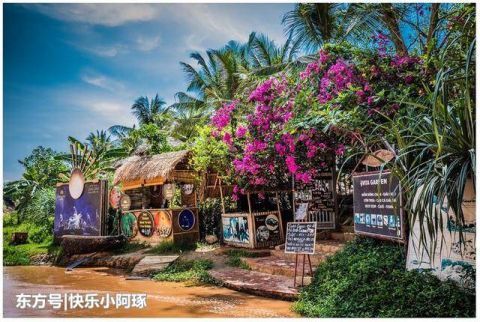 越南越美,性价比最高的出国旅游目的地,满大街的摩托车