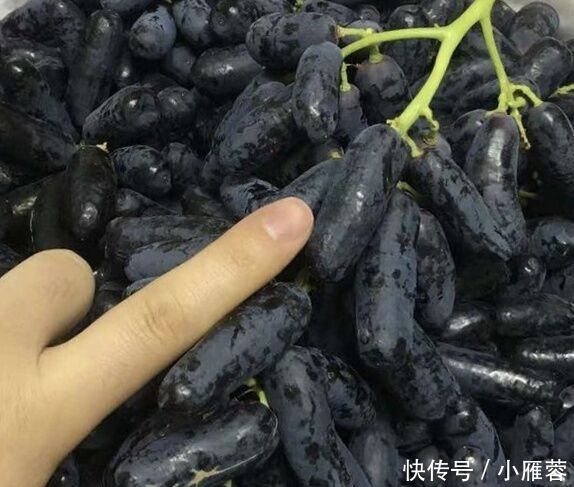 『此种』院子里不要乱种树,此种果树栽上几株在家中,新鲜水果年年有的吃