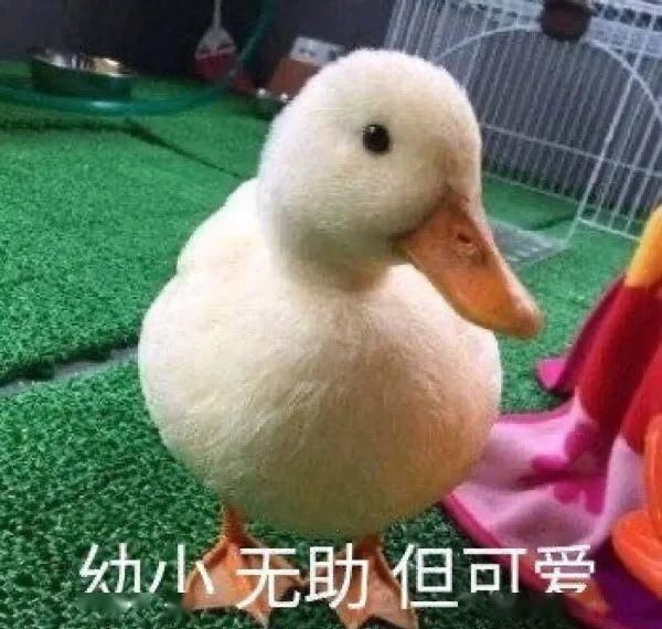  「究竟」一支YSL卖2000？！这种身家翻番的彩妆产品究竟有哪些来头？