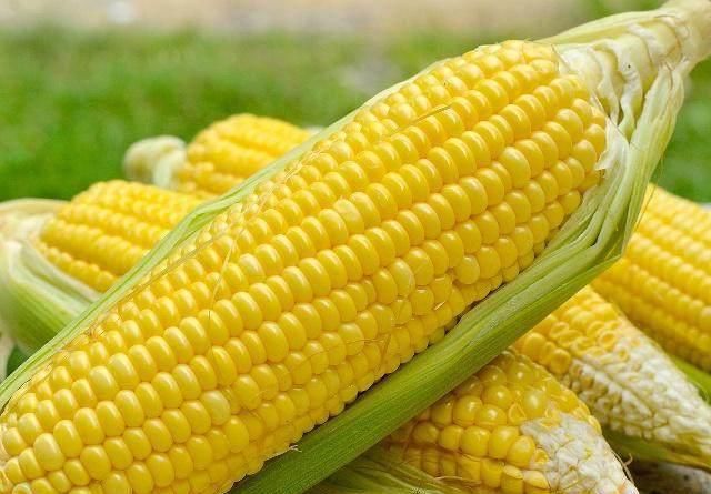 女人晚上不吃饭吃这3种主食,一个月瘦5斤,每天准时去厕所!