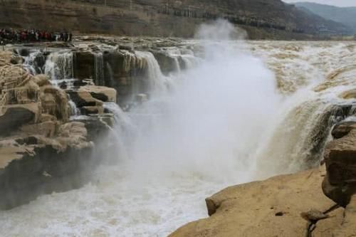 淡水鱼无法在海水中存活？那黄河水流入大海后，河里的鱼去哪了？