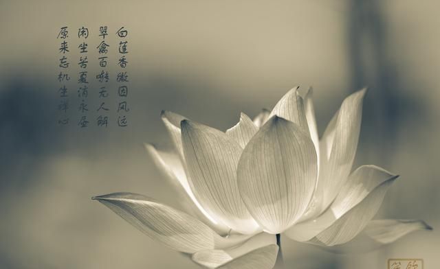  #凡事#人性之善恶，伪命题也自有宿命：凡事走中庸之道。