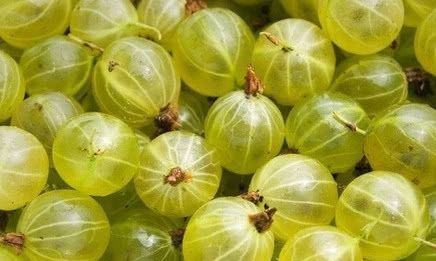 世界上最“奇特”的5种水果，有的都没有见过，全吃过绝对是土豪