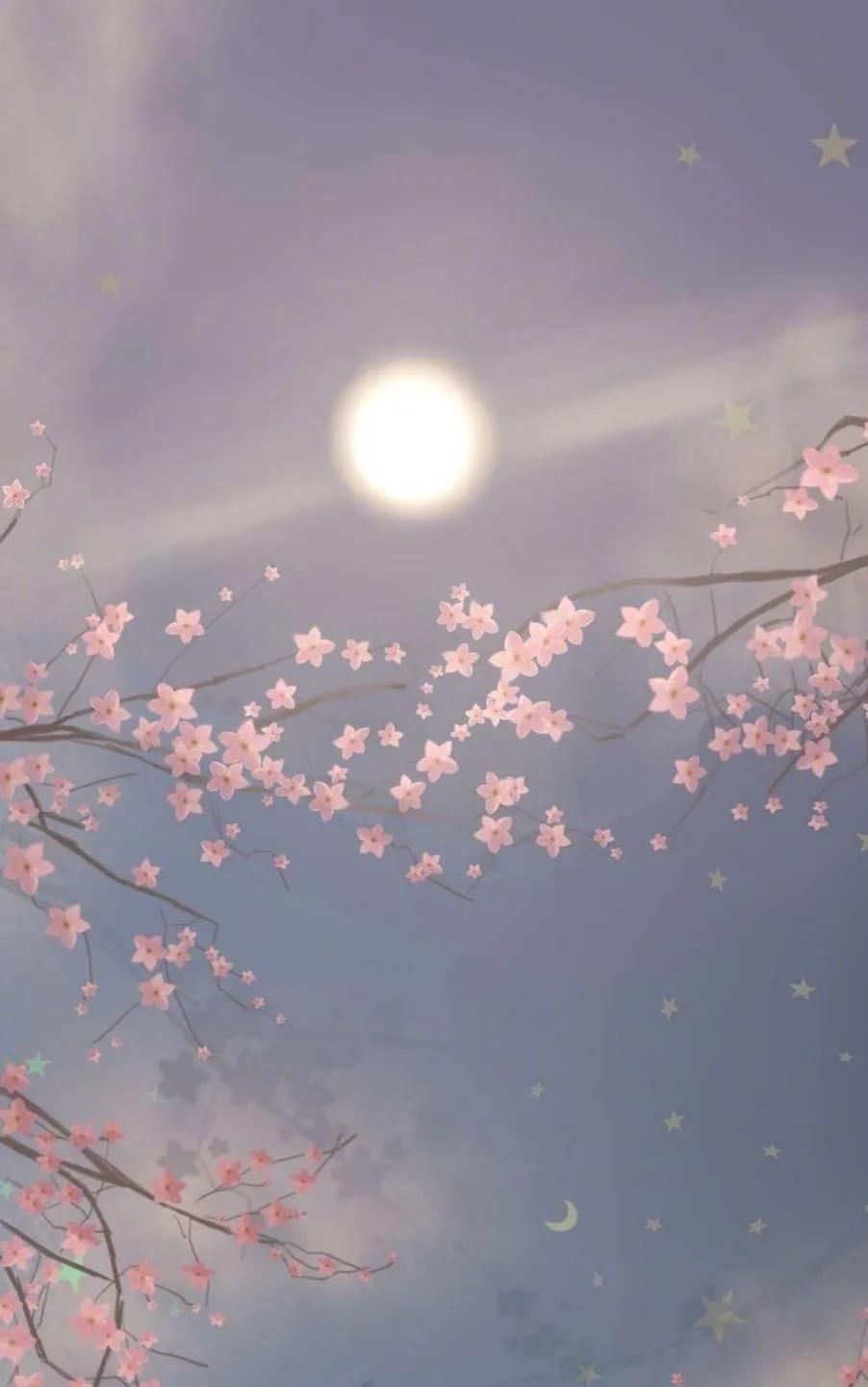  [好久不见]全面屏壁纸·聊天背景图·美文诗：待到春暖花开，说声“好久不见”