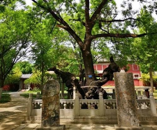 泰山脚下的千年寺庙,与故宫齐名,历代帝王封禅之地