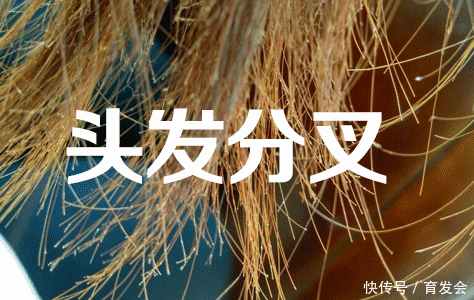  用护发素■烫发后头发打结怎么办？先别剪掉，我有办法！