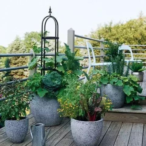 庭院不需太奢华，或一盆花，或一个老物件就能让庭院惬意起来