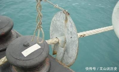 『缆绳爬上航』航母常年在海上跑,为何上面会有老鼠各国航母靠这些办法捉老鼠