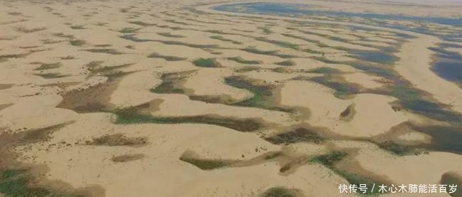  结果@中国内蒙古发生奇迹将黄河的水引入沙漠之后，竟出现这种结
