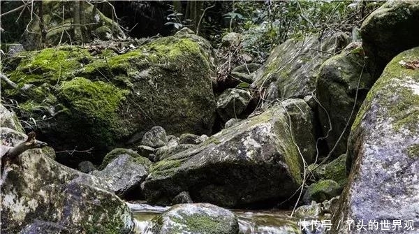 夹缝岩——这处藏匿于贵州大山深处的原始风景，竟然被我找到了