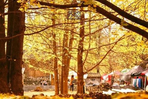 50个情侣私奔圣地 去过8个就结婚吧