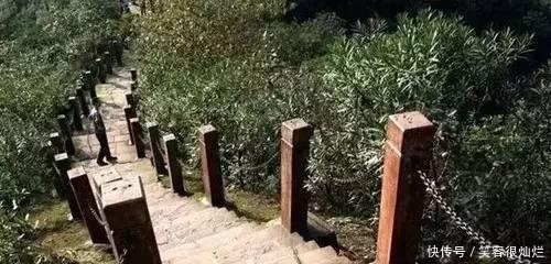 t01c2bf80f631c38f3d.jpg?size=500x240