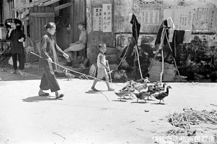  「50年代」50年代的沙头角 戴凉帽的客家阿婆 边境上的英籍香港