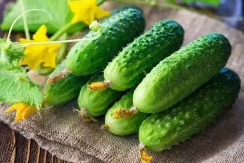 科普黄瓜中有杀不死的寄生虫？谣言！