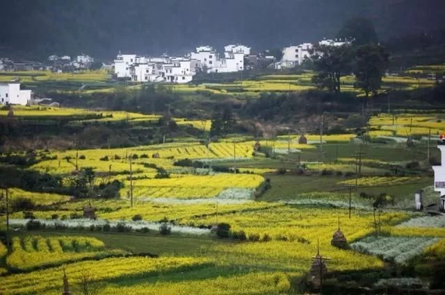 旅游必去的20个古镇,想去静静地待几天【2020热门旅游景点】