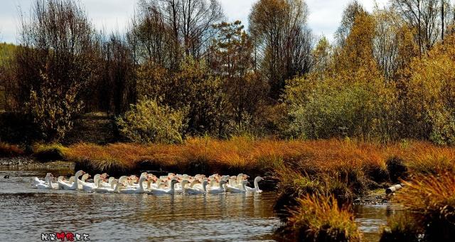 这里常住人口只有三户，但是却有三个火车站，还是中国最冷的村子