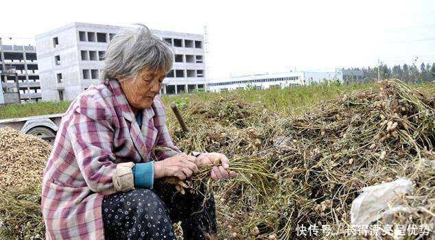 农村的养老保障终于来了，明年起，农民不用补交也能拿近千元了！