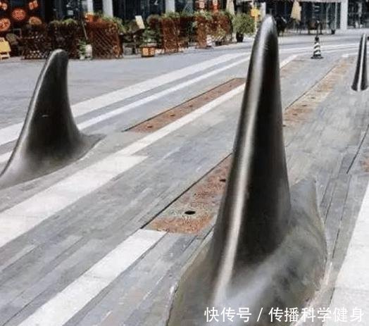 重庆街头出现“鲨鱼鳍”，路人拍手称快，司机叫苦不迭