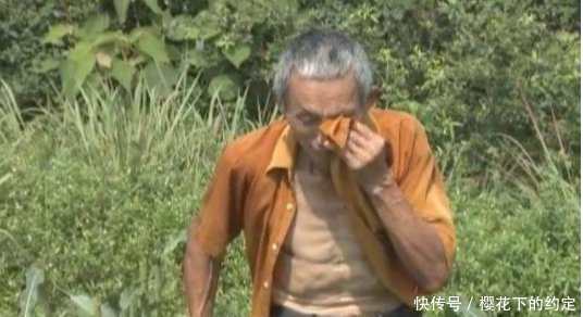 大爷发现自家地里玉米被砍，以为是小孩子顽皮，走近地里后傻了眼