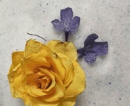  『微波炉』这种鲜花经久不衰，常开不败，一眼就喜欢上了！