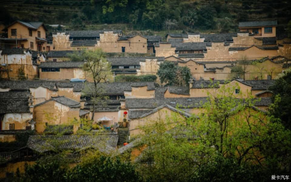 世外桃源@茶香环绕,与探岳陶醉在世外桃源。