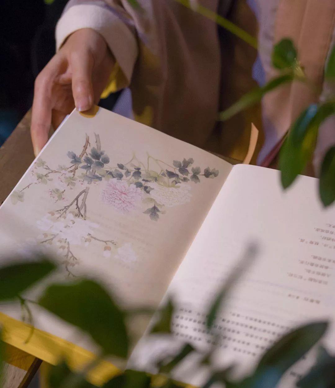  「蝶恋花」我们向往的美，都在宋词里（必读）