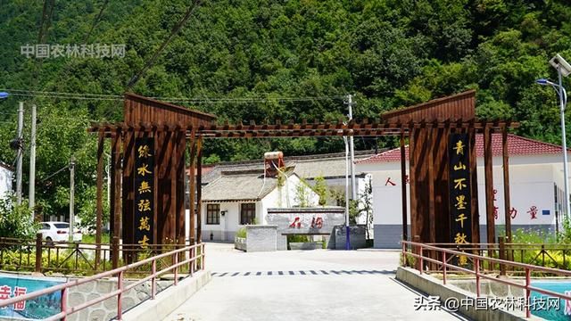 自驾游眉凤路到太白山以西第一高峰玉皇山，人少景美你一定要来哦