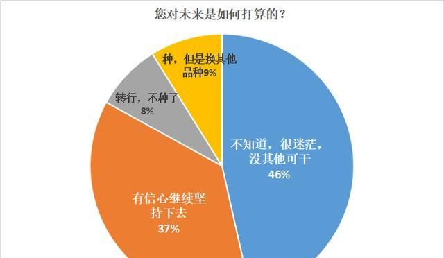  品种创新@“2020年，49%的柑橘还没有卖，46%的人很迷茫”