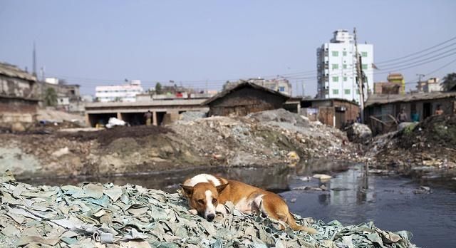 专家套路深：动不了污染企业的蛋糕，却把环保风暴吹到农村来？
