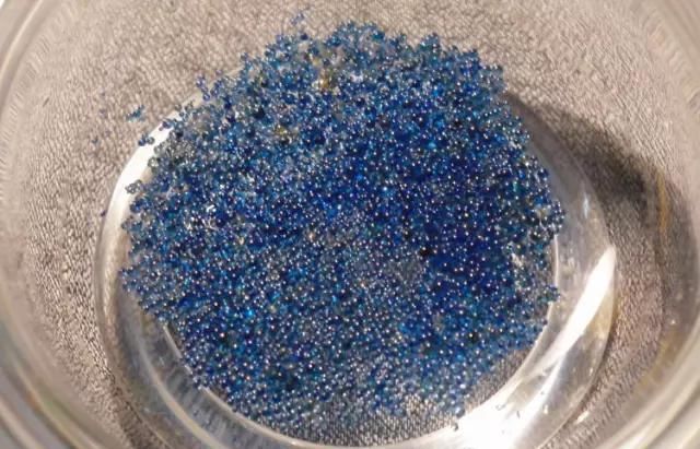  「释迦牟尼」释迦牟尼佛，真身舍利！瞻礼者，获福无量