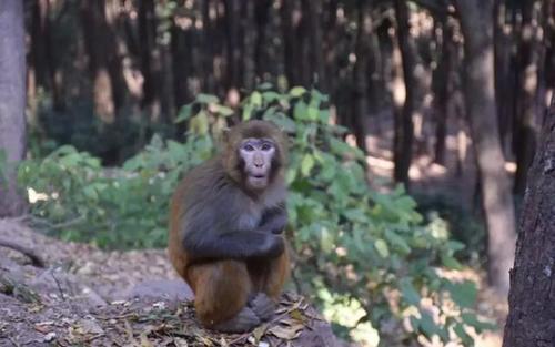 2-3天自驾！泡四川最大的瀑布温泉，现在去正好！