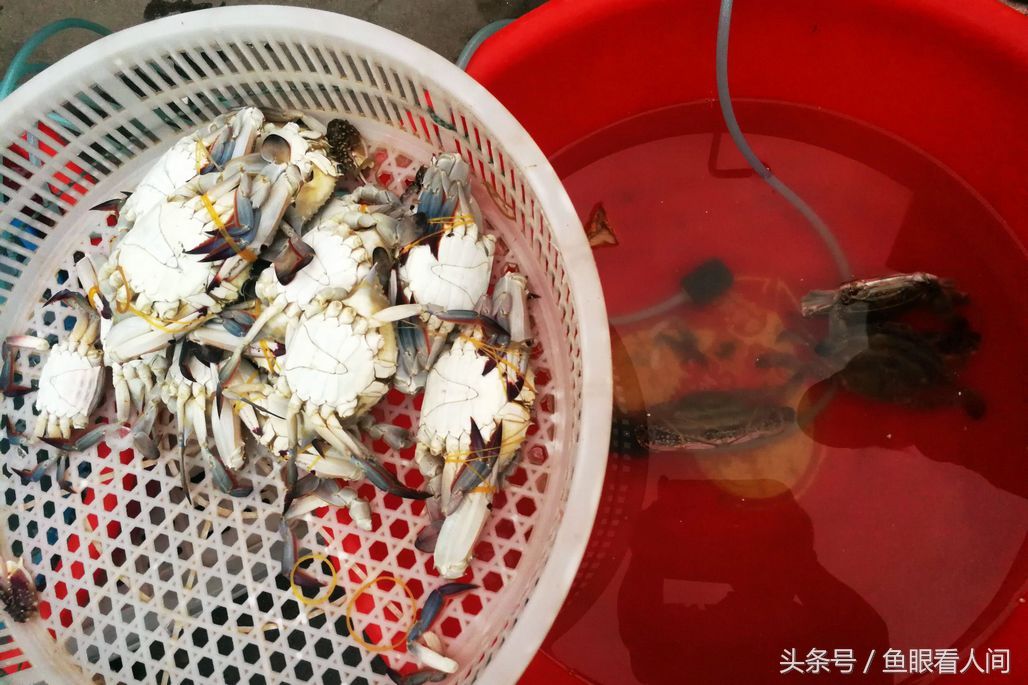 菜市场梭子蟹供销两旺 普通蟹25块钱一斤 摊贩下午3点坚守到7时