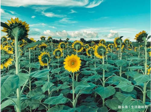 14张不可思议的照片，证明大自然比想象中更独特