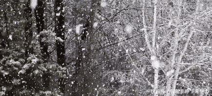 紧急预警降温+降雪来了！山东中到大雪、局部暴雪！