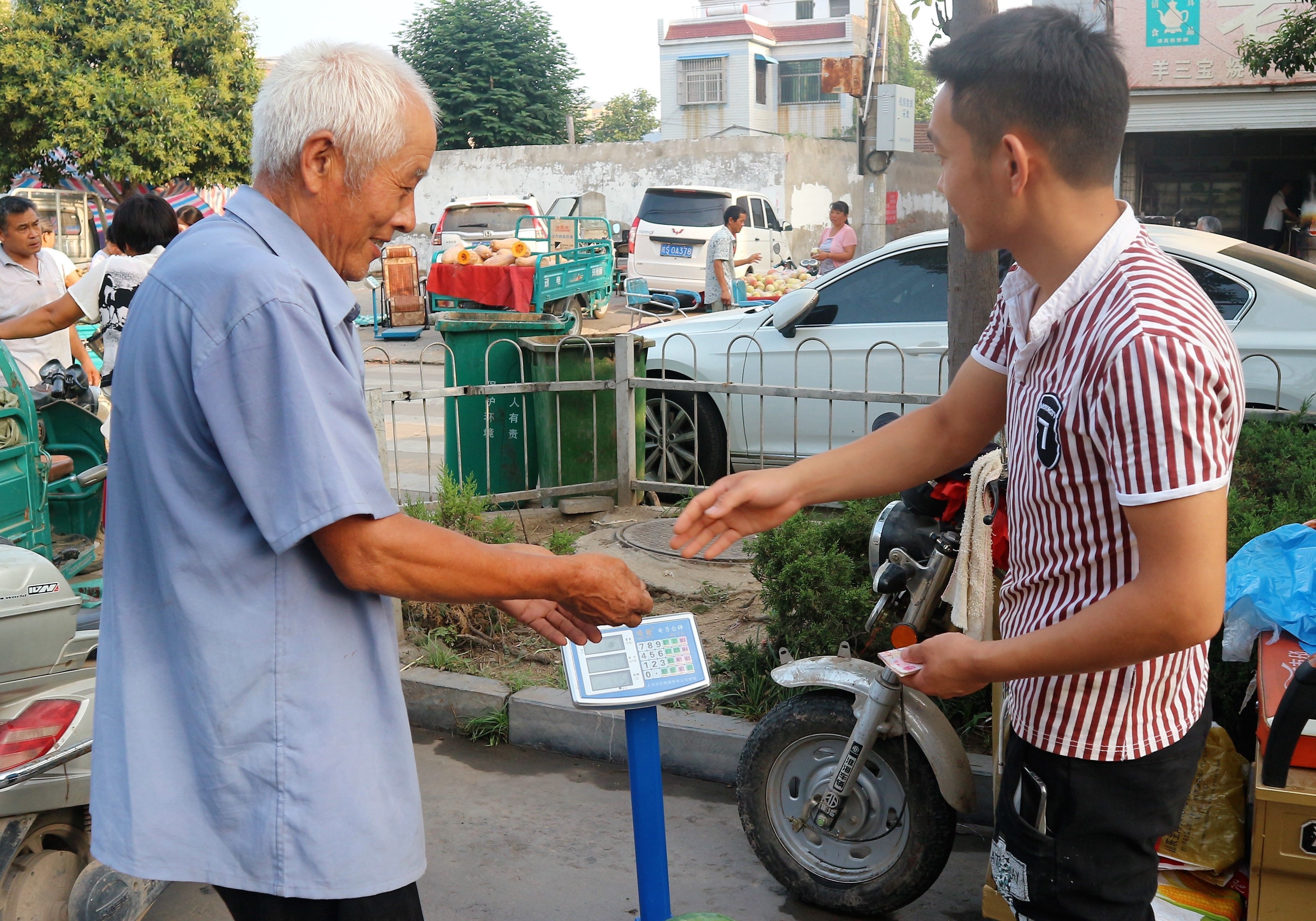 70岁农村老人种植5亩西瓜，能赚多少钱?农民大伯讲出真相