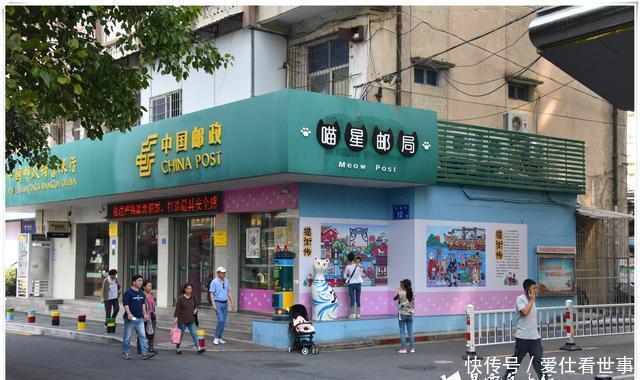 「鸽子」顶澳仔猫街撸猫、白鹭洲喂鸽子,厦门文艺之旅,去过才算没白来!