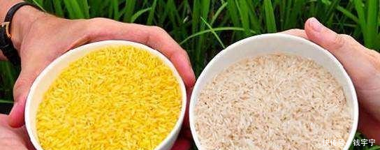 世界上有哪些流传已久的科学谎言