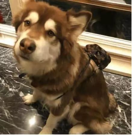 电影圈骗局起底:不好看就退票是最大的谎言